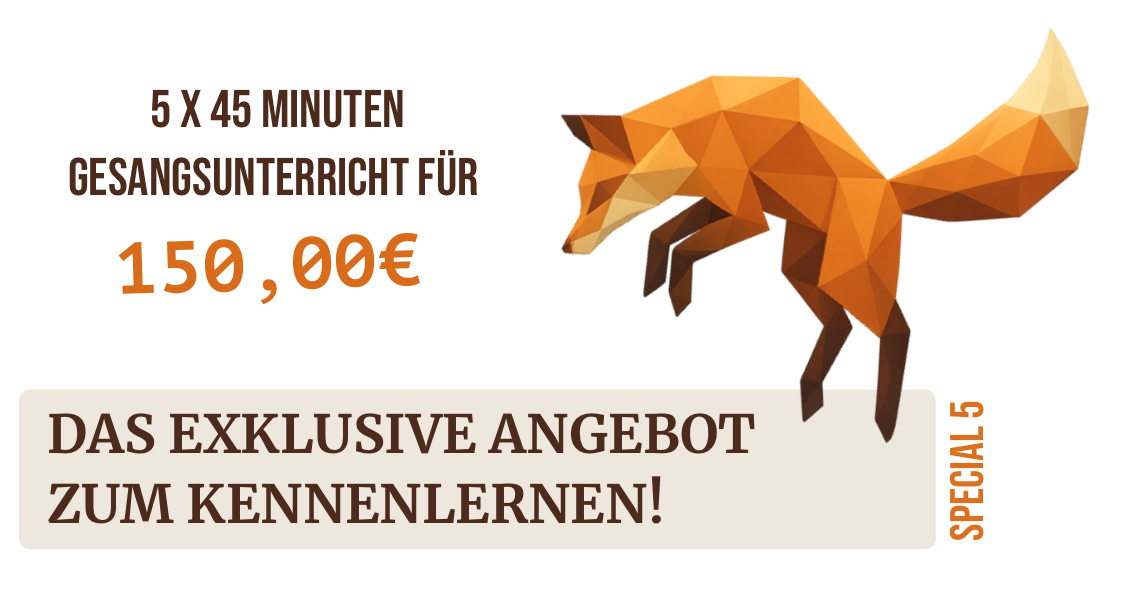 Singnastics Kennenlernangebot: 5 × 45 Minuten Gesangsunterricht für 150 Euro